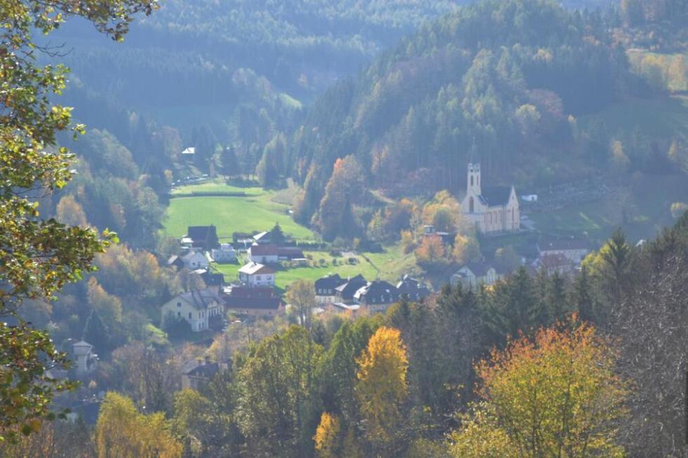Gemuetliche Ferienwohnung - Prein An Der Rax Prein an der Rax Exterior foto