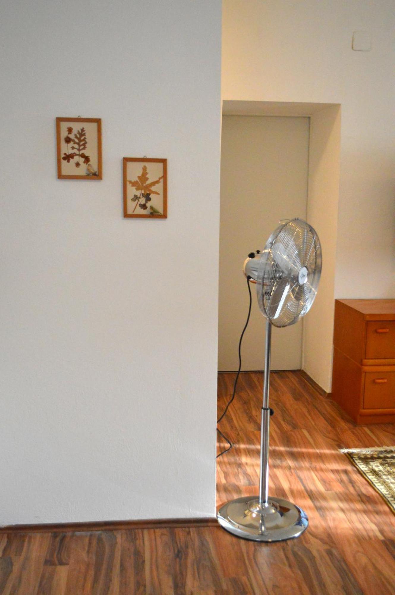 Gemuetliche Ferienwohnung - Prein An Der Rax Prein an der Rax Exterior foto